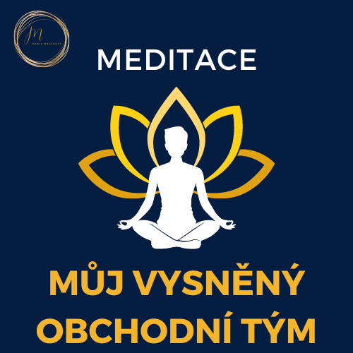 Meditace - Můj vysněný obchodní tým