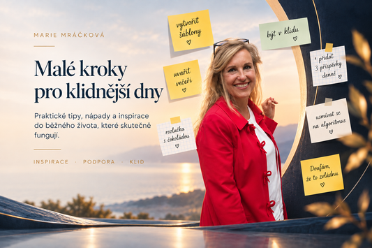Jak ustát hádku, tlak nebo těžký rozhovor bez vyčerpání pdf ZDARMA