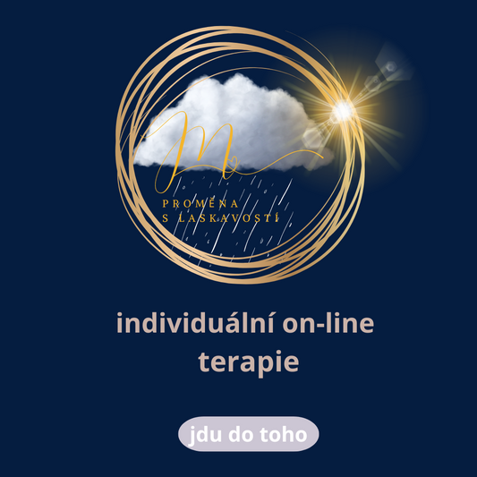Terapie 1-1